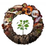 Câu chuyện về rác ở xứ người và về xứ ta