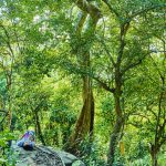 Thế hệ trẻ Việt Nam với xu hướng sống xanh