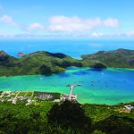 Côn Đảo – Thiên đường của rùa biển Việt Nam
