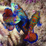Into the world of adventure – Wakatobi