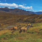 Into the world of adventure – Ecuador