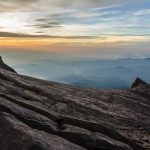 Exotic wonders in Borneo