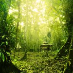 Borneo – vùng đất của thiên nhiên kỳ thú