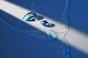 Vẻ đẹp vĩnh cửu trong bộ sưu tập Solstice của Piaget