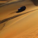 Into the desert
