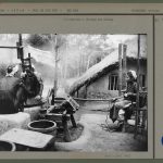 Silk farming legacy