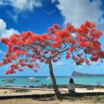 Mauritius: Heaven on earth