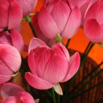 Làng nghề thủ công – Chất liệu “vàng” trong phim An toàn bay