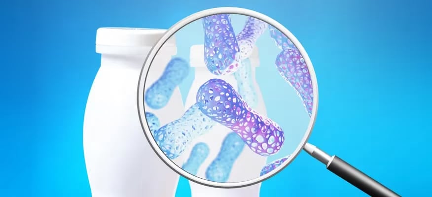 Vi khuẩn có lợi trong sữa chua được quan sát qua kính lúp trên nền xanh dương